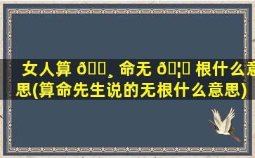 女人算 🌸 命无 🦈 根什么意思(算命先生说的无根什么意思)